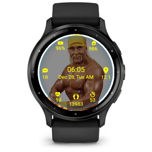 WWF Superstar Hulk Hogan 4