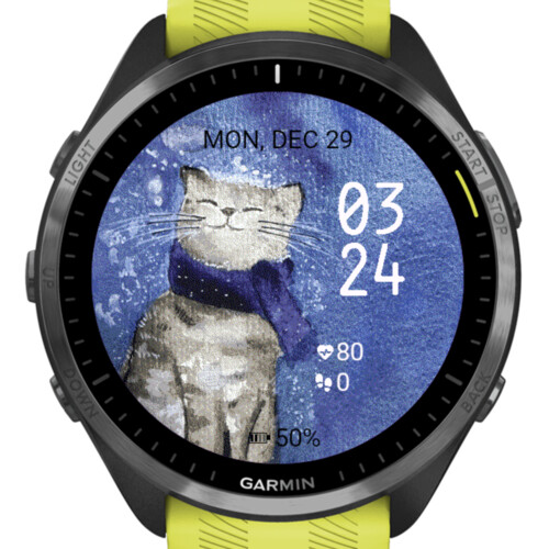 Winter Cat Watercolor · Screenshot 2