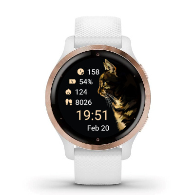 Cat stats · Screenshot 2