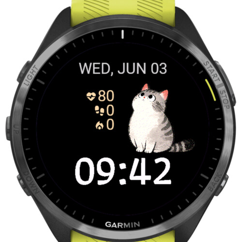 Cat Y · Screenshot 2