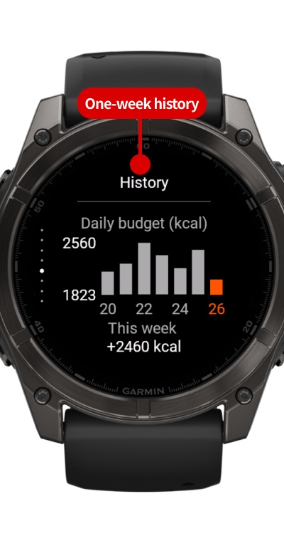 Calorie & PFC Budget - Real-time PFC Auto-Calc · Screenshot 4