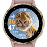 Tiger Selfie · Screenshot 3
