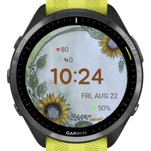 Sunflower Circle Flower · Screenshot 1