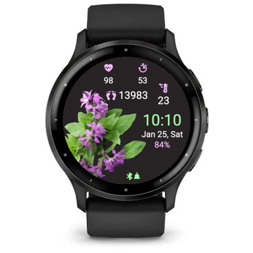 Catmint Flower · Screenshot 2