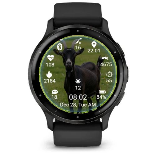 Goat01 · Screenshot 2