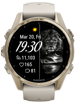 Lion Background · Screenshot 0