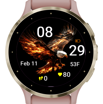 Burning Falcon · Screenshot 1