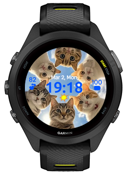 Six Cats · Screenshot 0