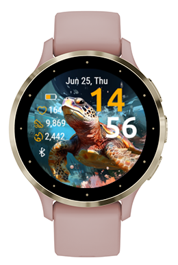 Sea Turtle · Screenshot 2