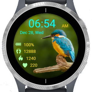 Bird 14 · Screenshot 4