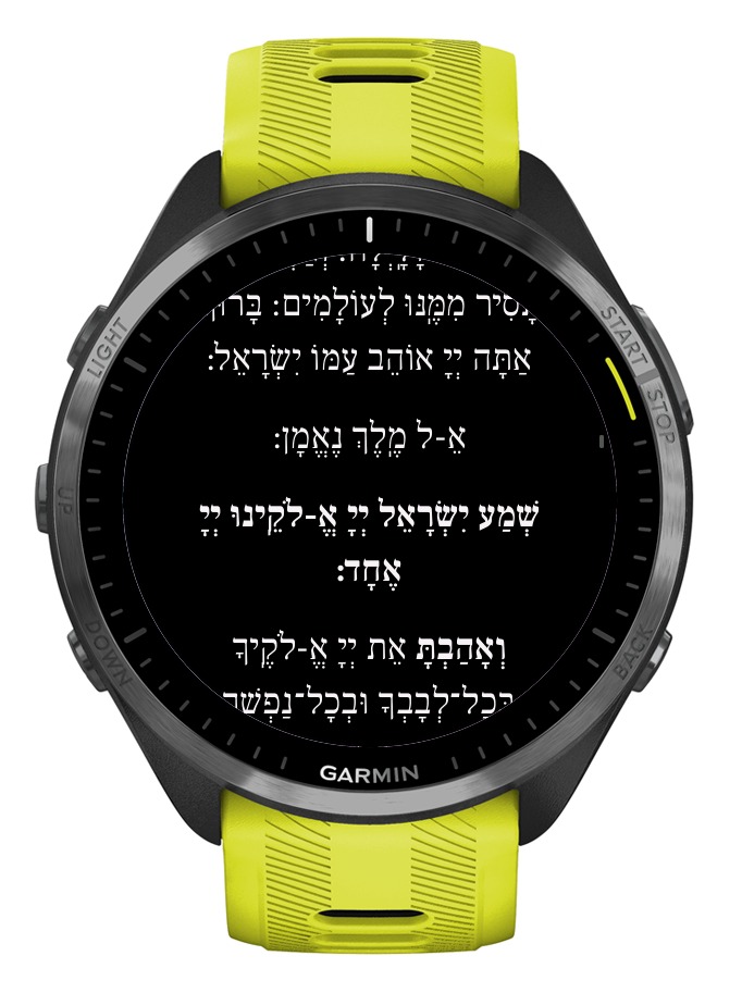 Siddur · Screenshot 4
