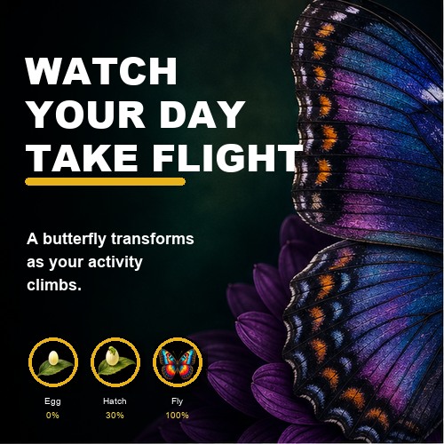 Flutterfly (Goal Based Virtual Pet Butterfly) · Screenshot 0