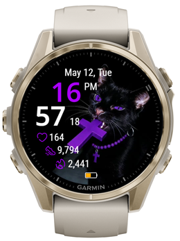 Eclipse Cat · Screenshot 0