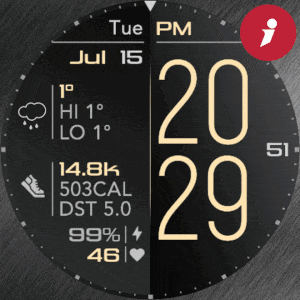iFacer – H009 · Screenshot 0