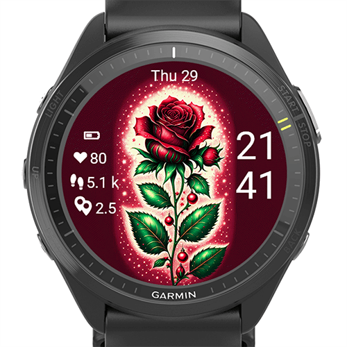 Valentine Rose G · Screenshot 2