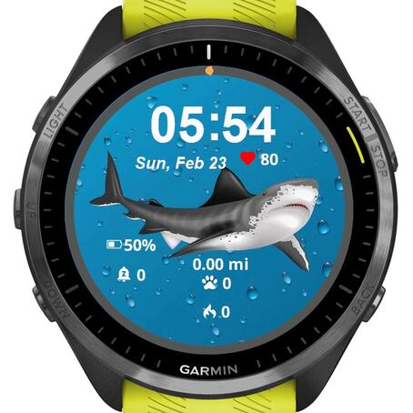 Angry Sharky · Screenshot 0
