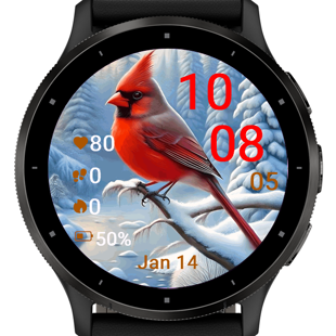 Winter Cardinal · Screenshot 0