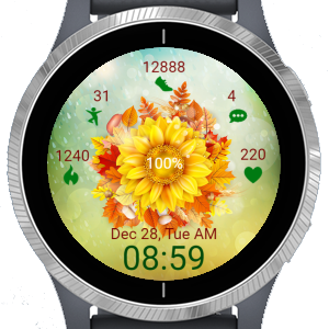 Sunflower RG · Screenshot 4