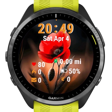Red Poppy Flower · Screenshot 2