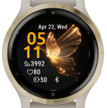 Gold Butterfly 3