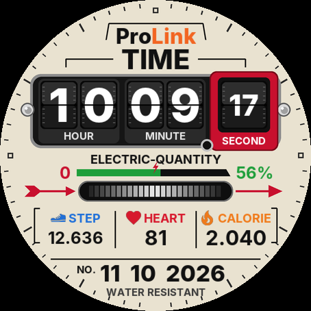 ProLink TIME · Screenshot 0