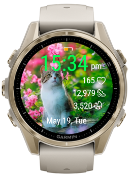 Floral Kitten · Screenshot 0