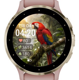 Macaw · Screenshot 4