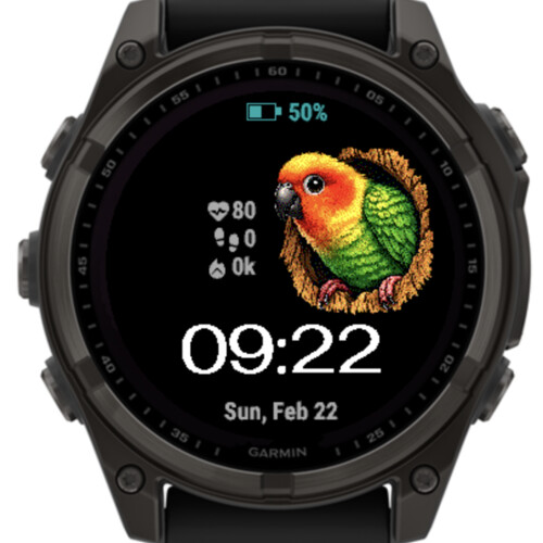 Tropical Parrot 5