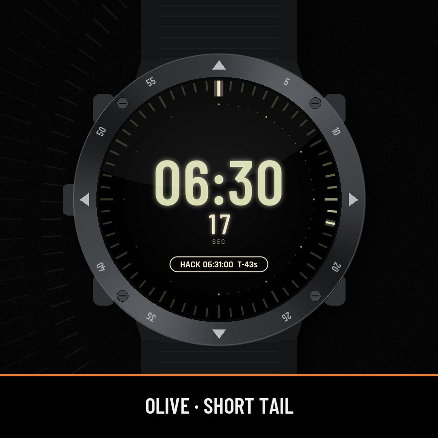 Time Hack: Seconds Ring Face watch face screenshot 3