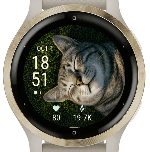 sleeping cat portrait · Screenshot 2