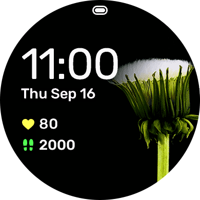 Dandy · Screenshot 1