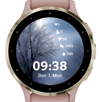Silent Winter · Screenshot 3