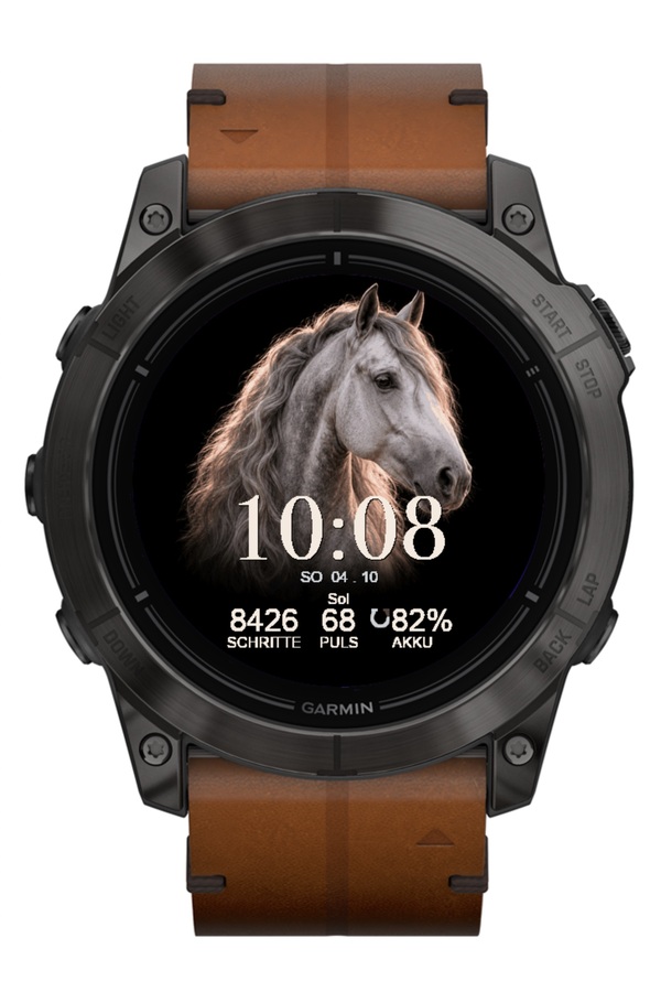 EQUESTRIAN - Your horse. Your time. · Screenshot 1