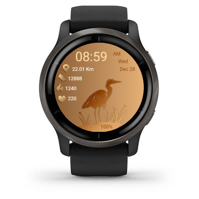 Bird 01 · Screenshot 1