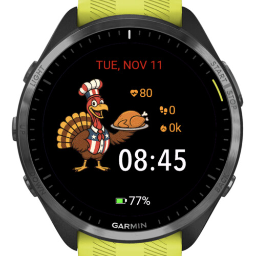 Chef Turkey – Thanksgiving · Screenshot 2