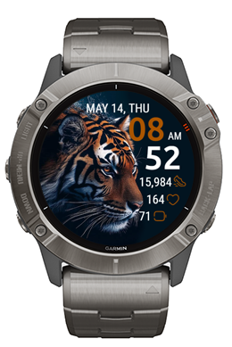 Tiger Shadow · Screenshot 1