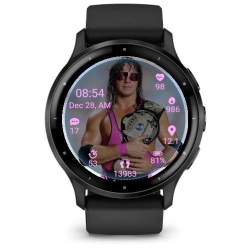 WWF Superstar Bret Hart 4