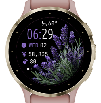 Purple Lavender · Screenshot 2