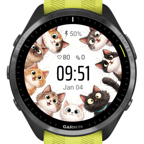Cats Circle · Screenshot 1