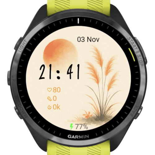 Golden Sunrise – Zen Minimalist watch face screenshot 3