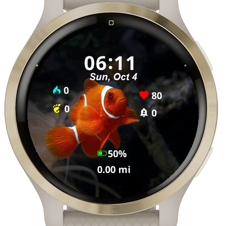 Fish Coral · Screenshot 0