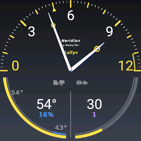 Neridian Rallye Pro – display analogico · Screenshot 1