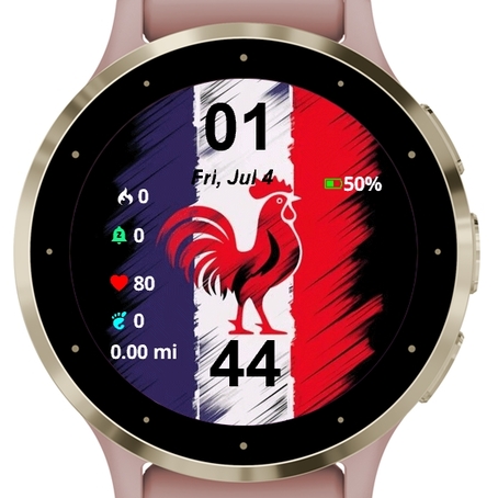 The Gallic Rooster · Screenshot 0