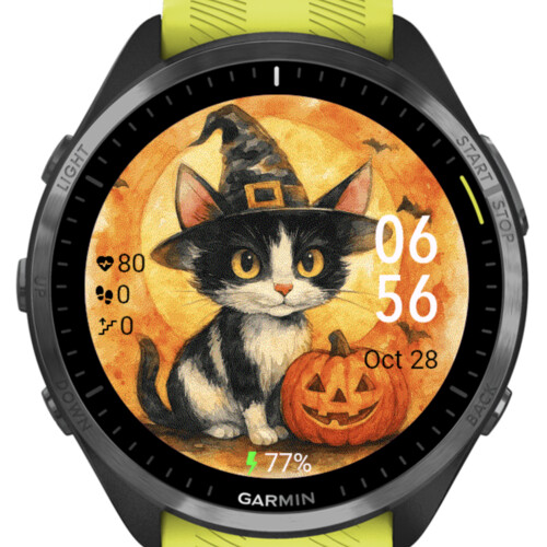 Halloween Cat and Pumpkin · Screenshot 1