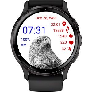 Bald Eagle 01 · Screenshot 0