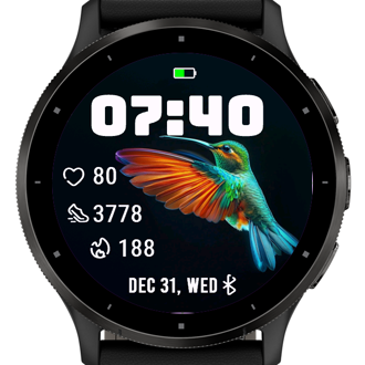 A Hummingbird · Screenshot 2