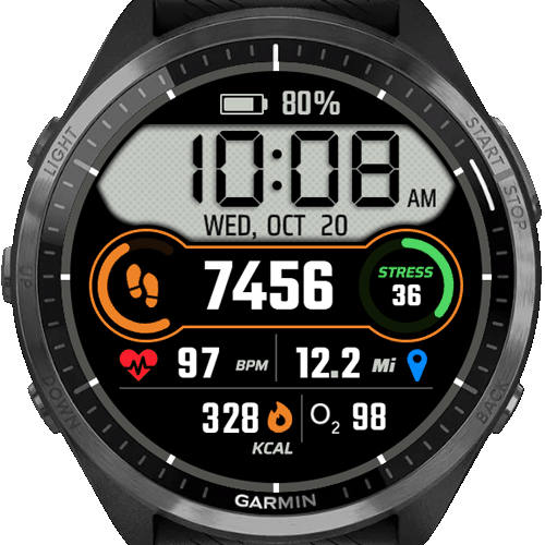 Sport the Widget · Screenshot 0
