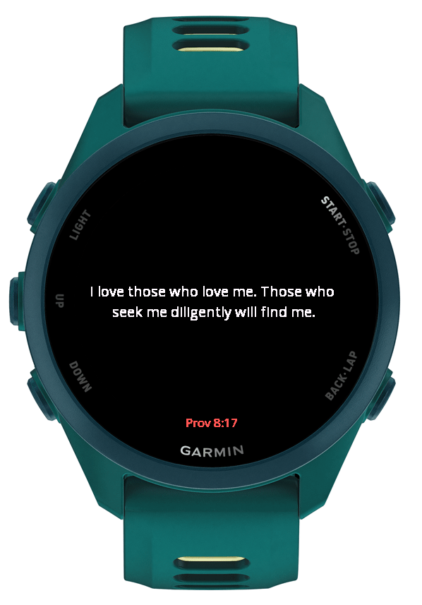 V2V Hourly Bible Verses Widget · Screenshot 2