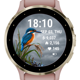 Rainbank Kingfisher · Screenshot 0