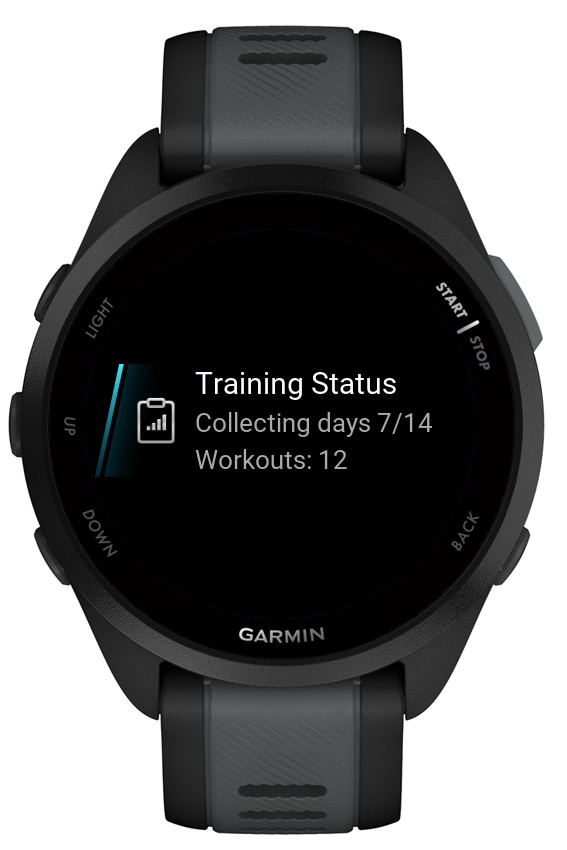Training Status 6